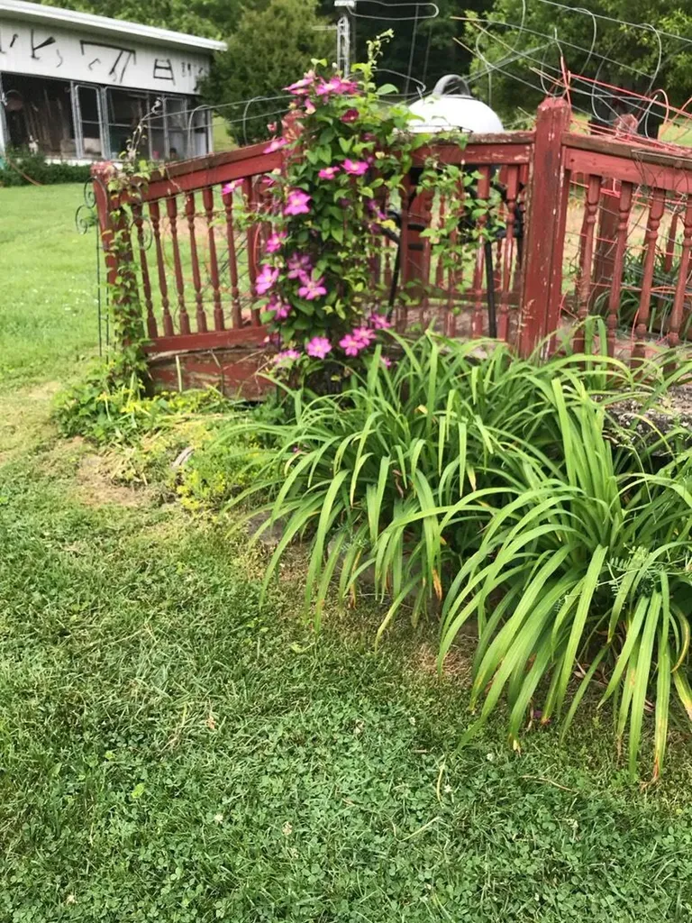 73 Tyner Loop Tyner KY 40486