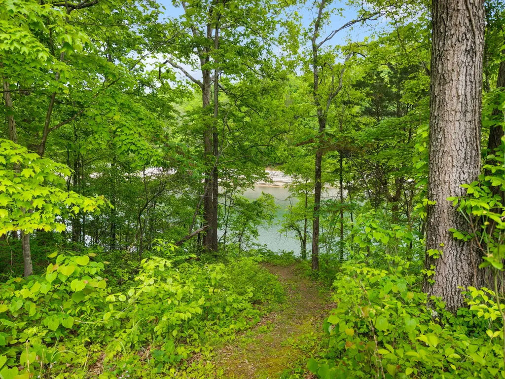 825 George Hardwick Drive Bronston KY 42518
