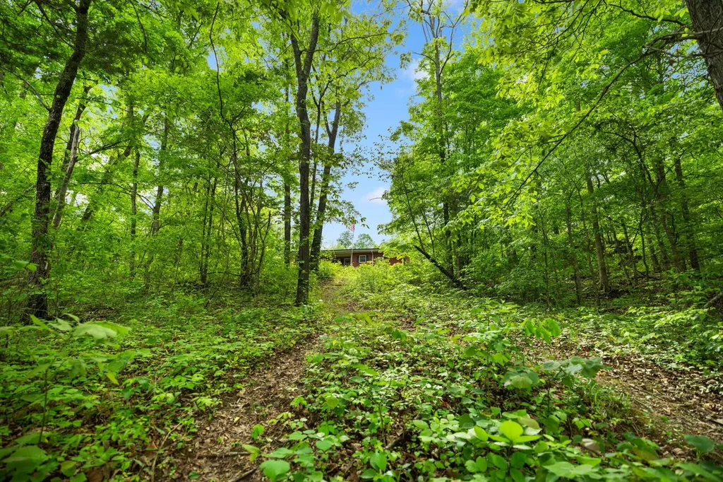 825 George Hardwick Drive Bronston KY 42518