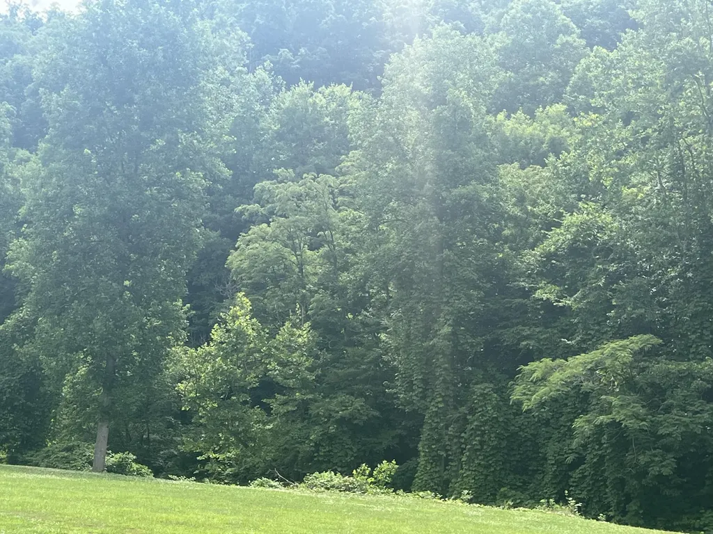 0000 Walnut Lane Harlan KY 40831
