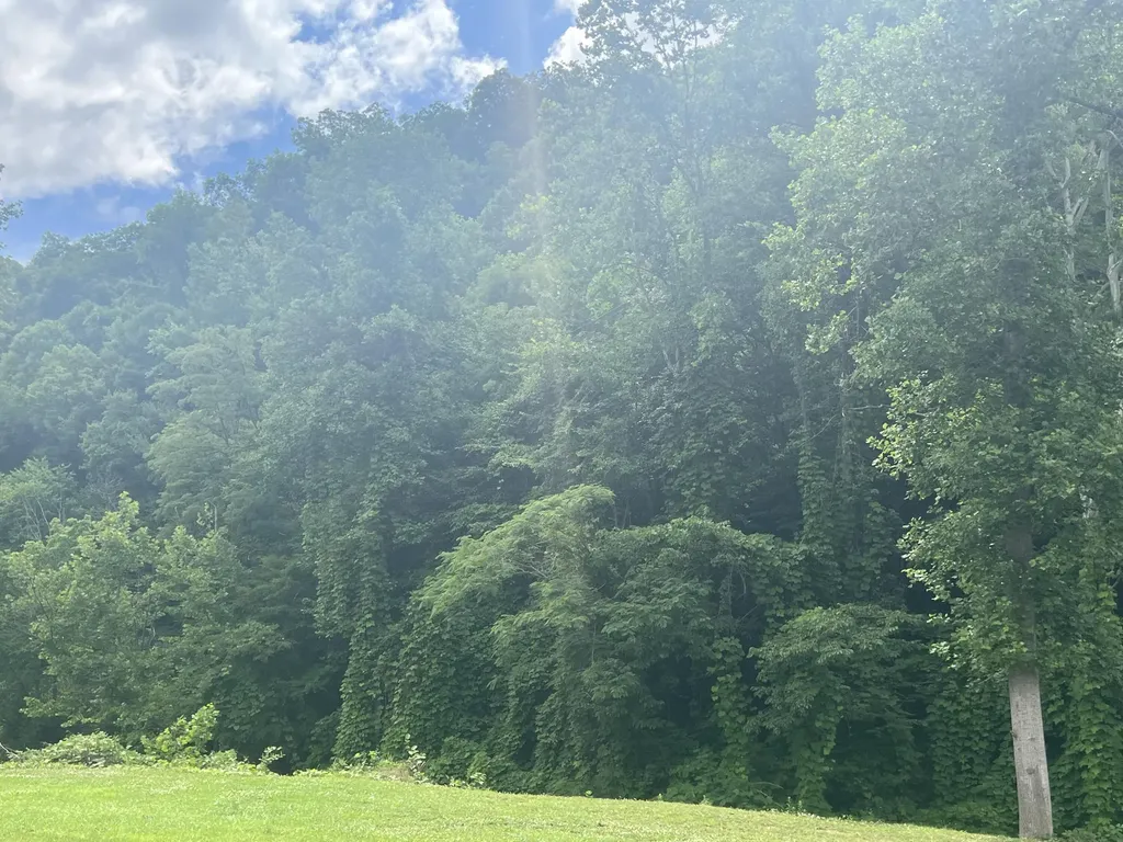 0000 Walnut Lane Harlan KY 40831