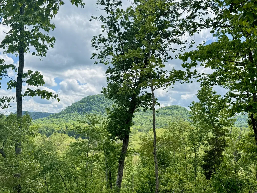 Lot 3 Woodland Estates Irvine KY 40336