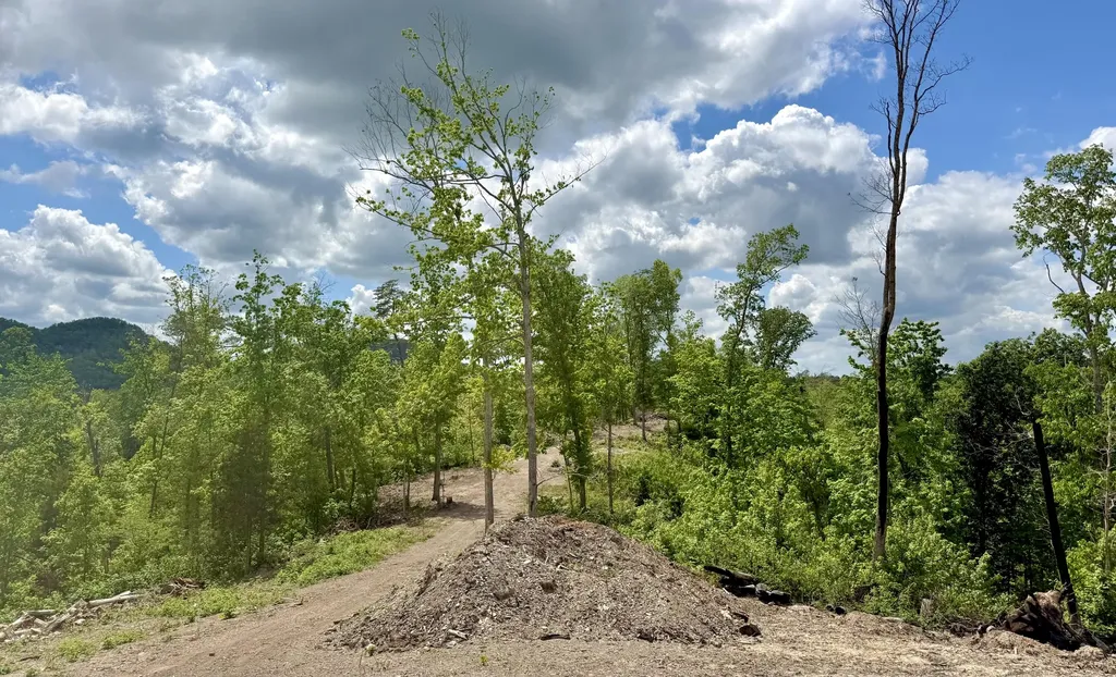 Lot 3 Woodland Estates Irvine KY 40336