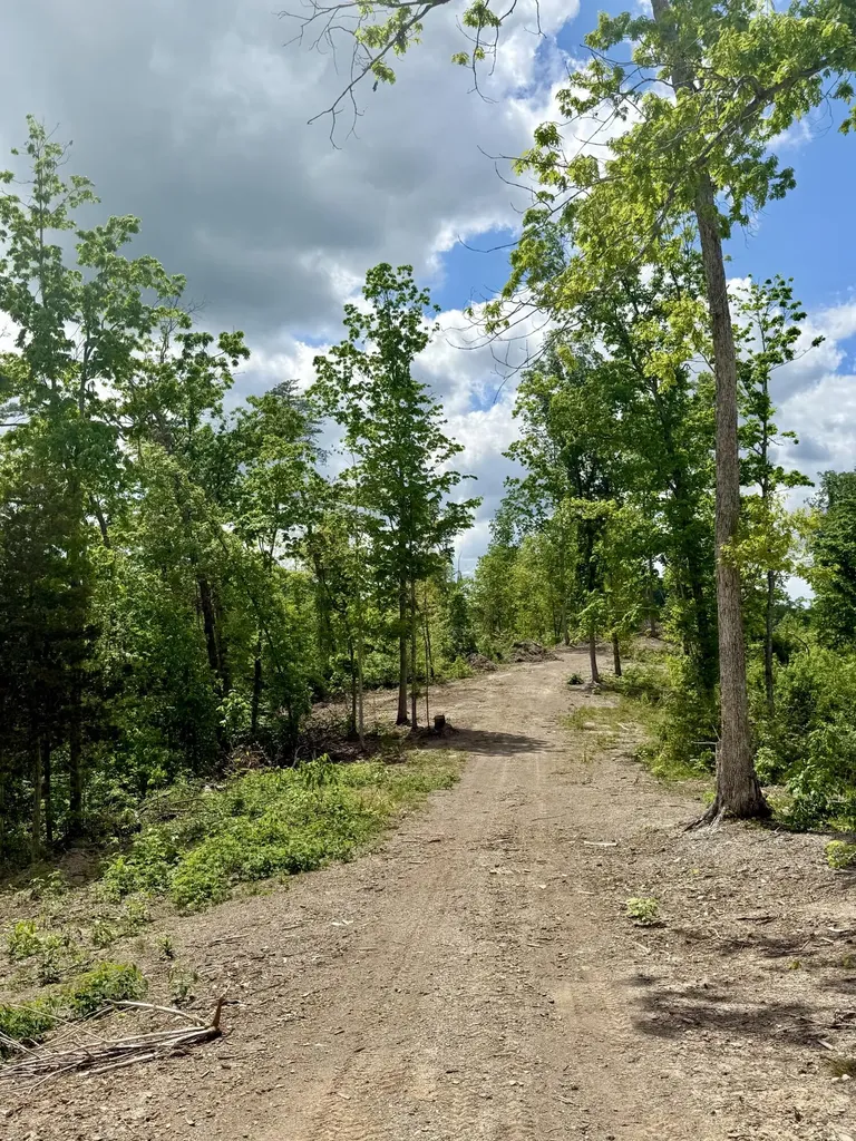 Lot 3 Woodland Estates Irvine KY 40336