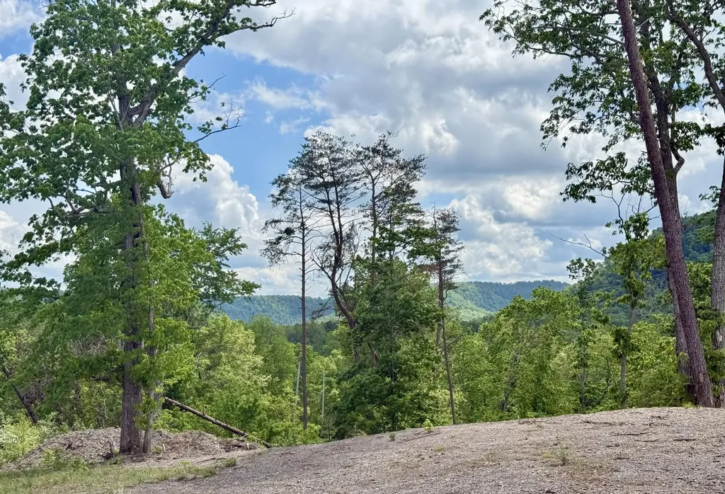 Lot 3 Woodland Estates Irvine KY 40336