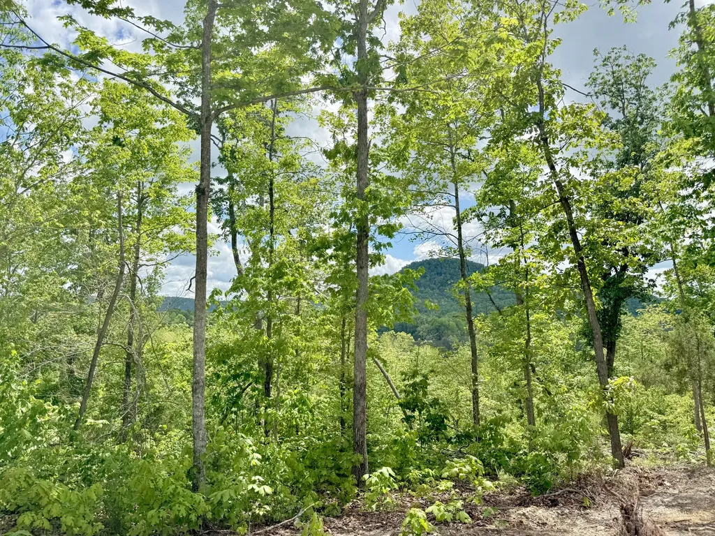 Lot 3 Woodland Estates Irvine KY 40336