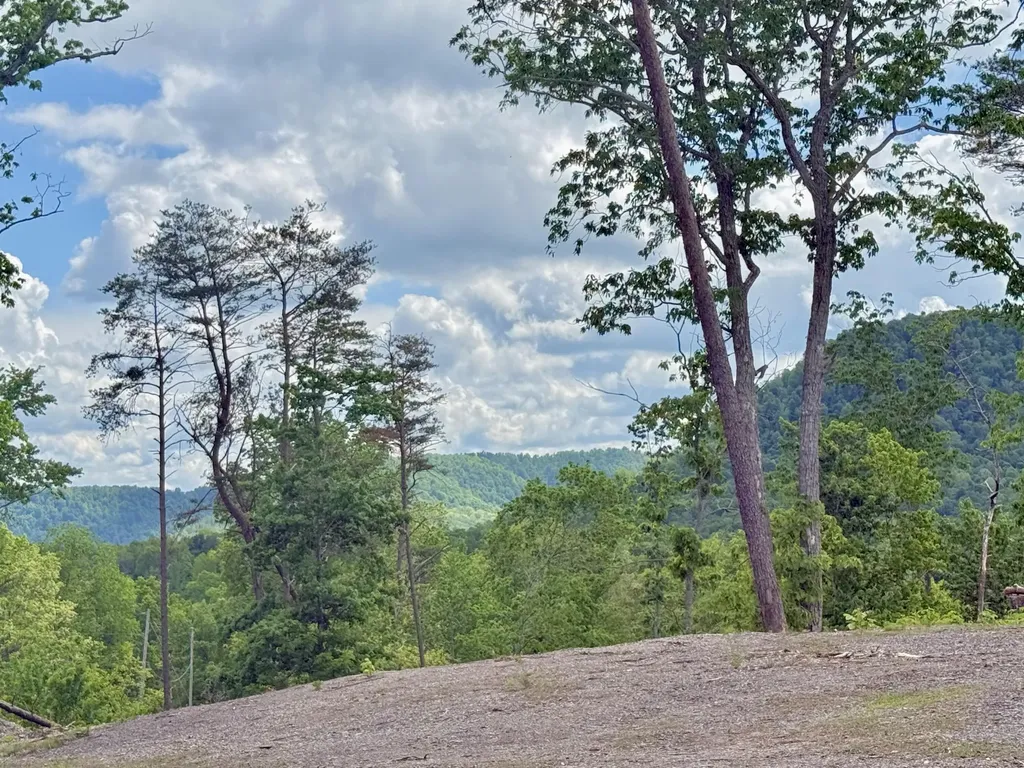 Lot 3 Woodland Estates Irvine KY 40336