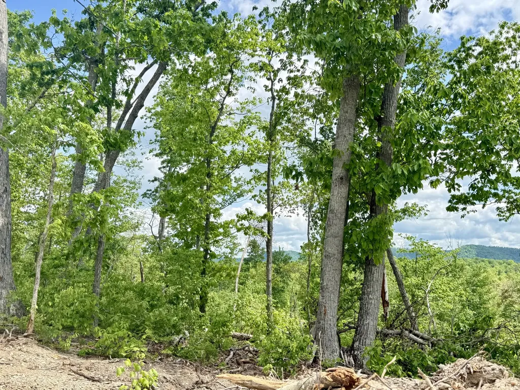 Lot 3 Woodland Estates Irvine KY 40336