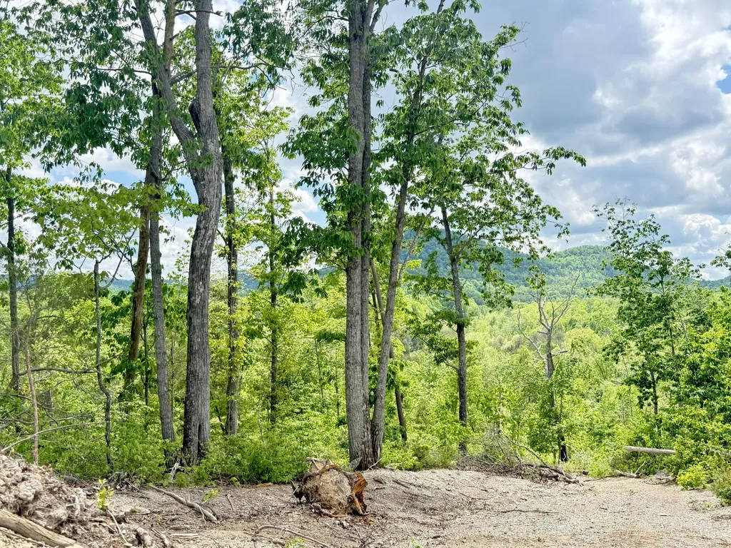 Lot 3 Woodland Estates Irvine KY 40336