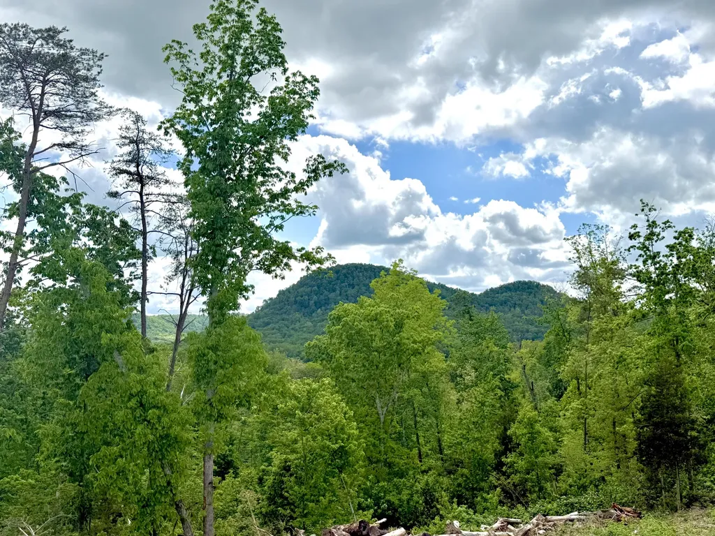 Lot 3 Woodland Estates Irvine KY 40336