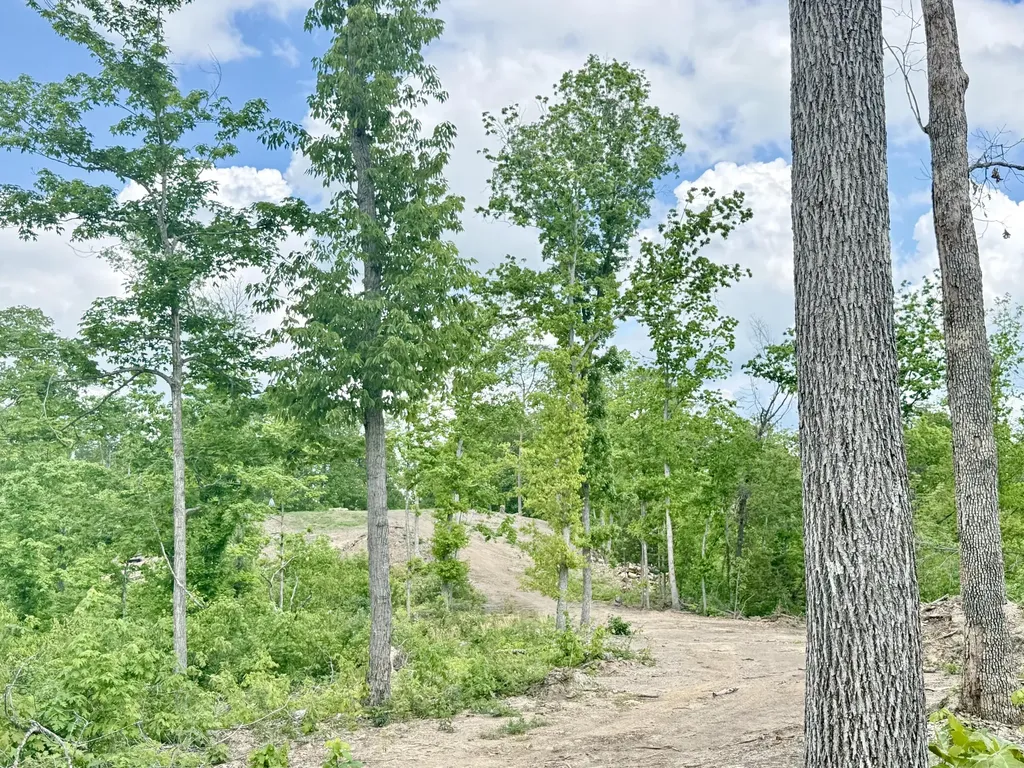 Lot 2 Woodland Estates Irvine KY 40336