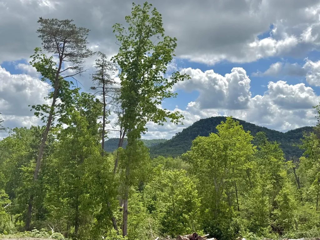 Lot 2 Woodland Estates Irvine KY 40336