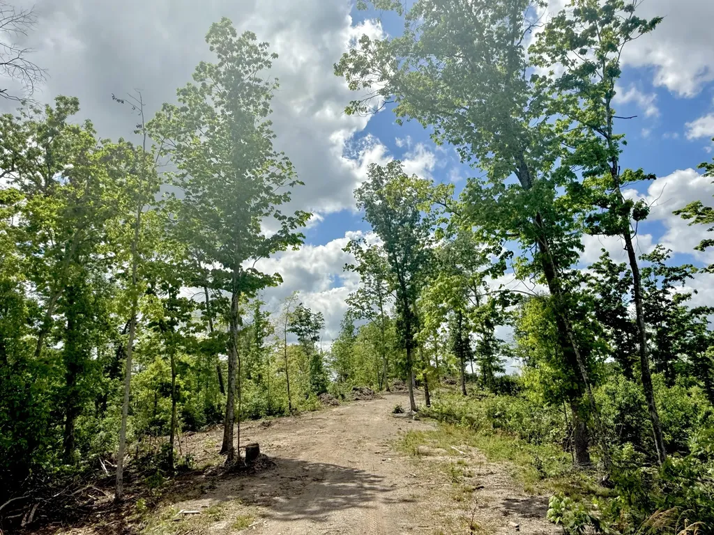 Lot 2 Woodland Estates Irvine KY 40336