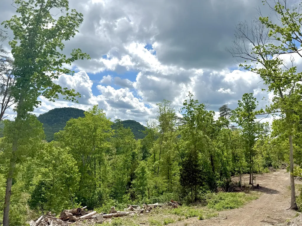 Lot 2 Woodland Estates Irvine KY 40336