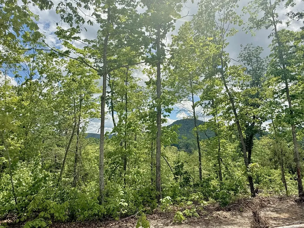 Lot 2 Woodland Estates Irvine KY 40336