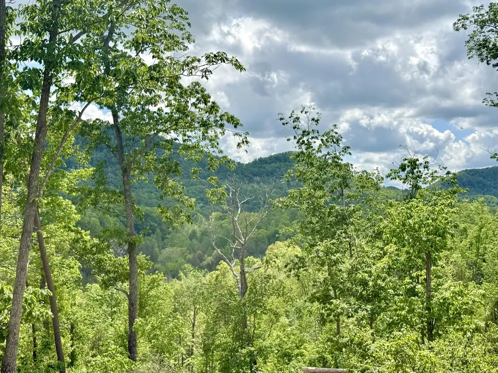 Lot 2 Woodland Estates Irvine KY 40336