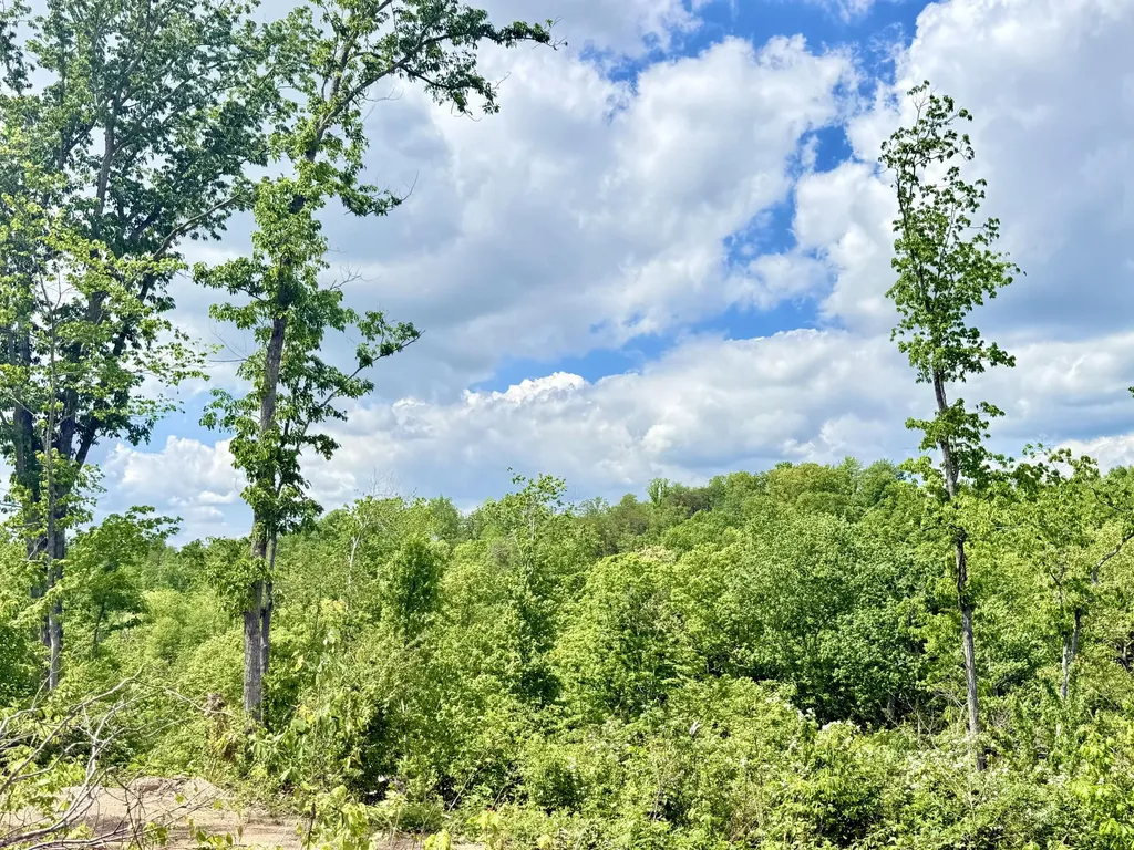 Lot 2 Woodland Estates Irvine KY 40336