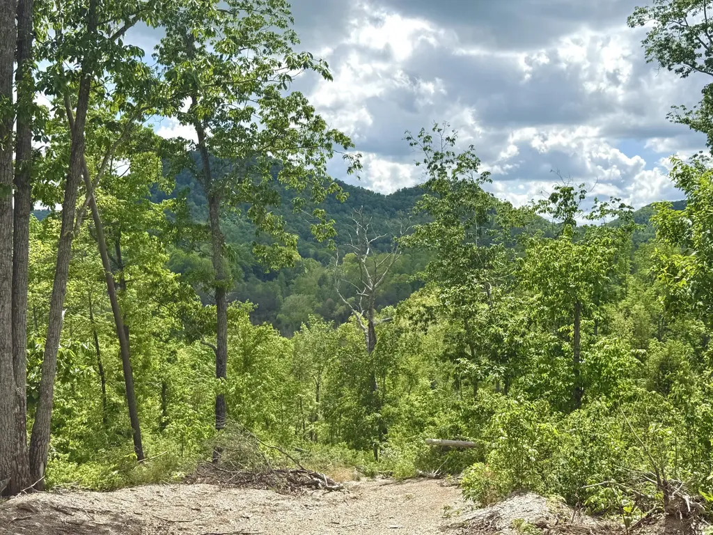 Lot 2 Woodland Estates Irvine KY 40336
