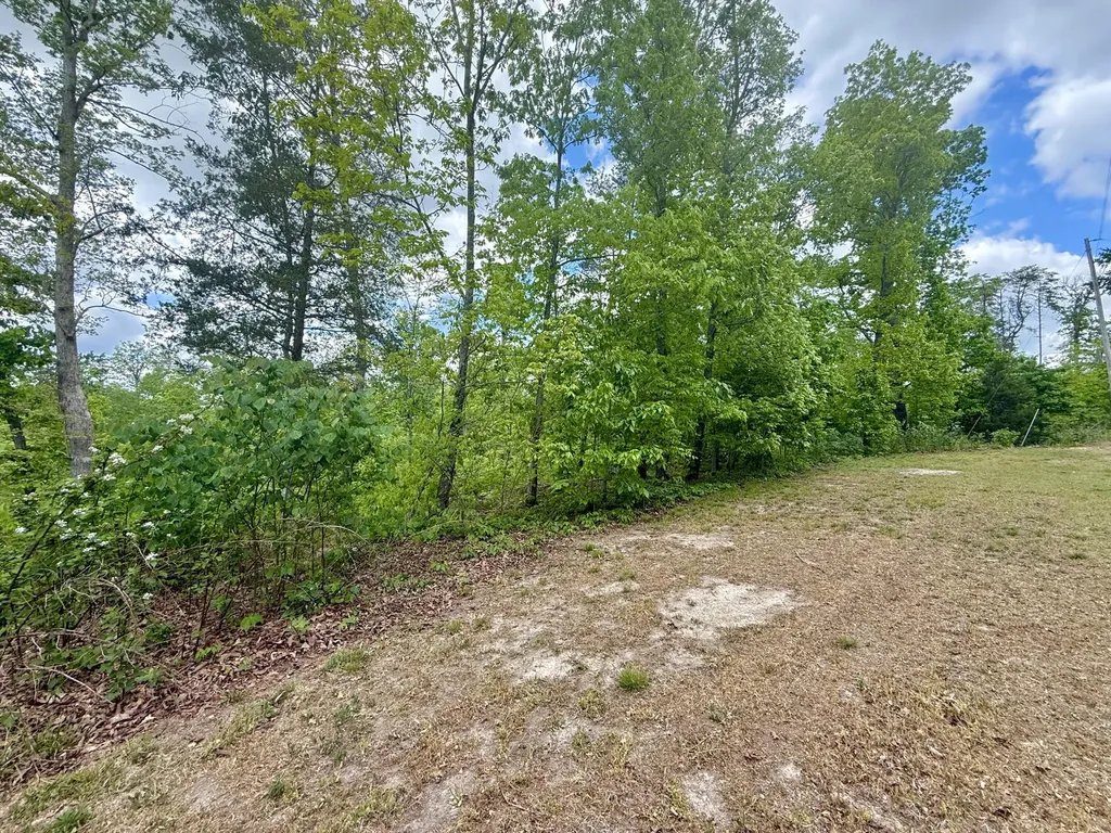 Lot 2 Woodland Estates Irvine KY 40336