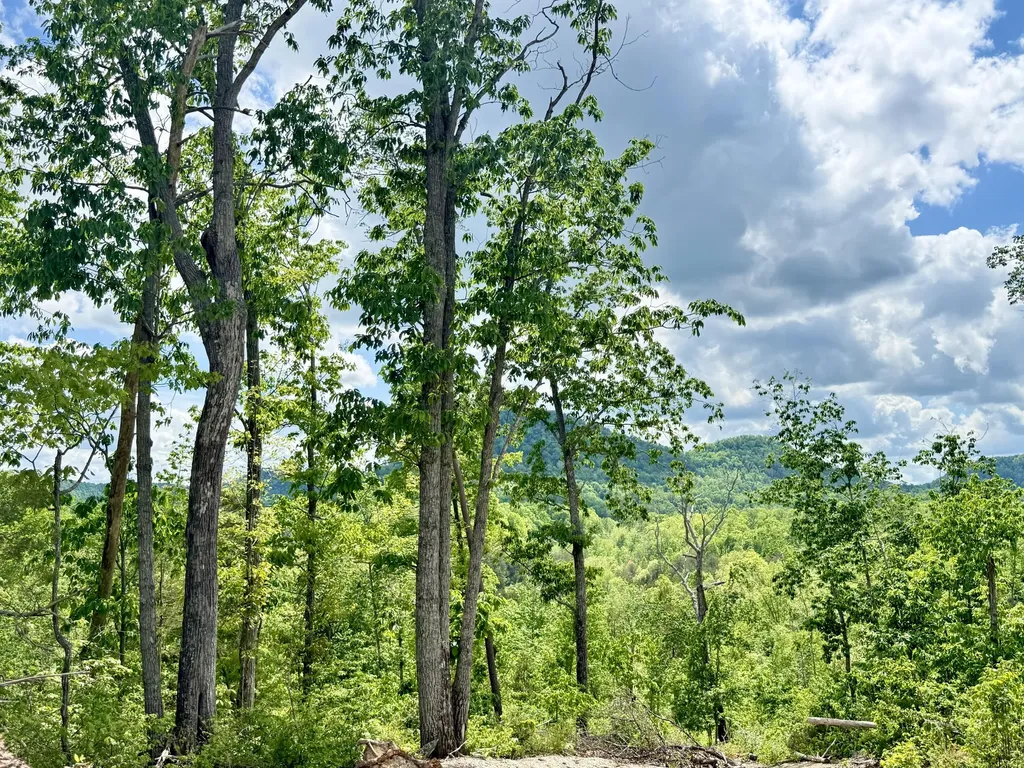 Lot 2 Woodland Estates Irvine KY 40336
