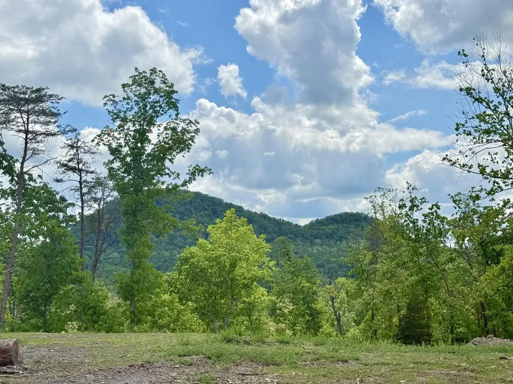 Lot 1 Woodland Estates Irvine KY 40336