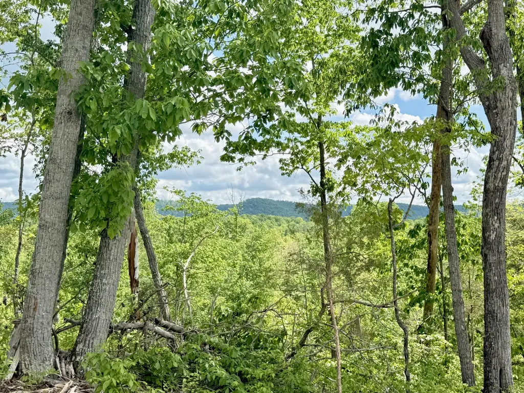 Lot 1 Woodland Estates Irvine KY 40336