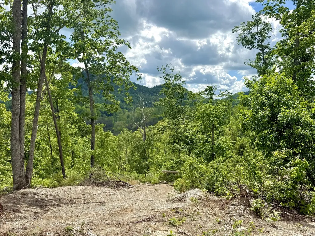 Lot 1 Woodland Estates Irvine KY 40336
