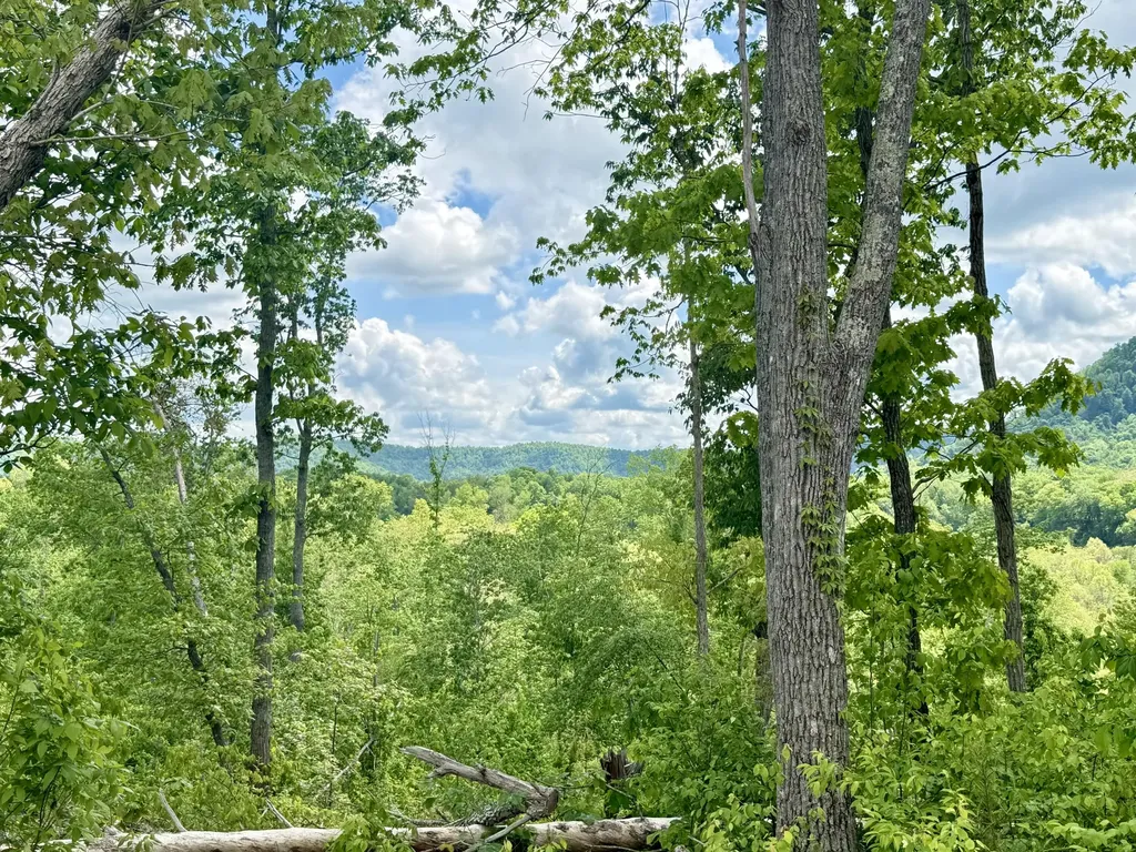 Lot 1 Woodland Estates Irvine KY 40336