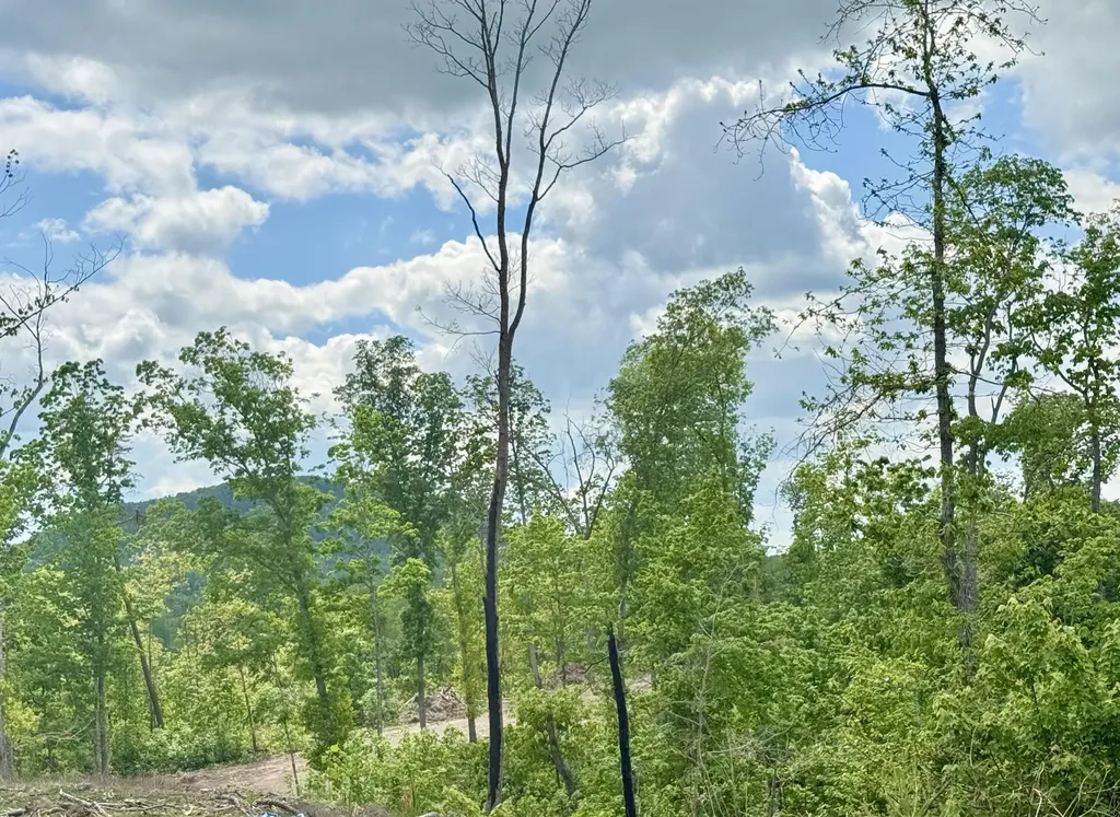 Lot 1 Woodland Estates Irvine KY 40336