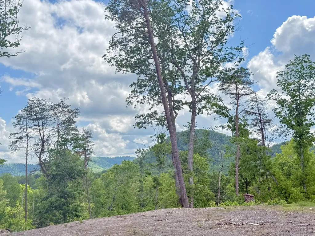 Lot 1 Woodland Estates Irvine KY 40336