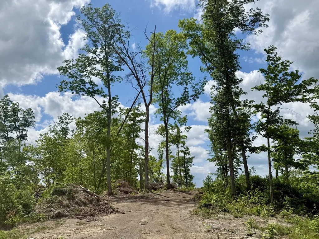 Lot 1 Woodland Estates Irvine KY 40336