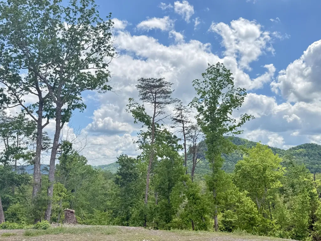 Lot 1 Woodland Estates Irvine KY 40336