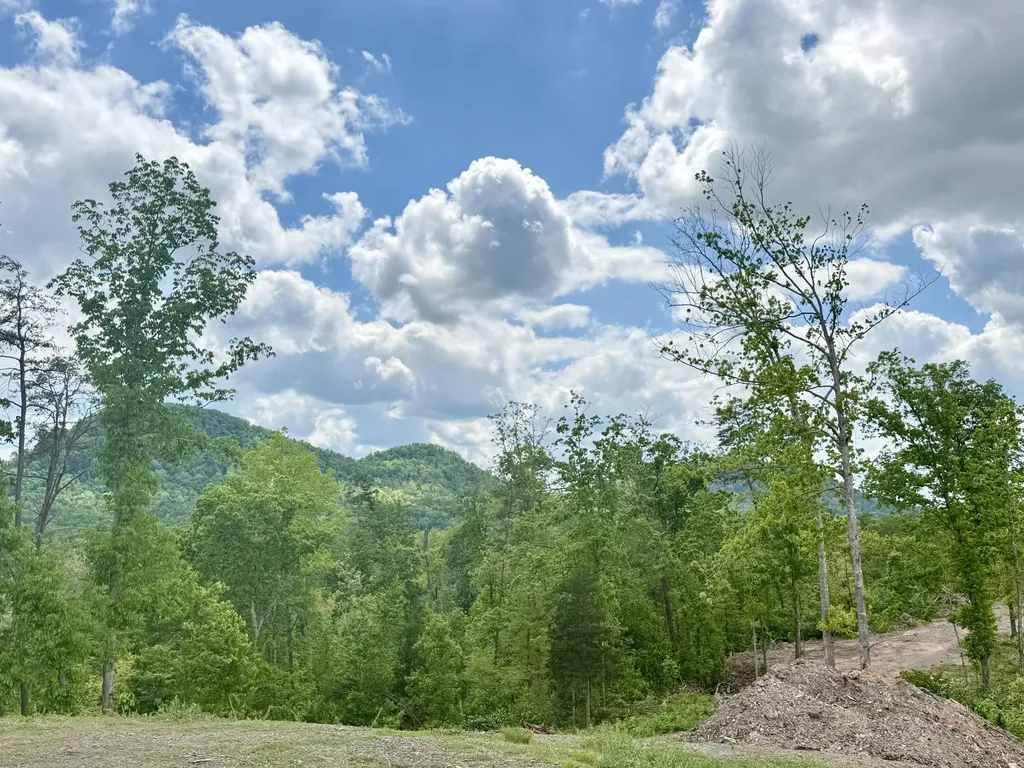Lot 1 Woodland Estates Irvine KY 40336