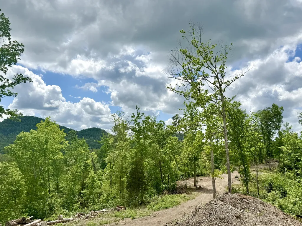 Lot 1 Woodland Estates Irvine KY 40336