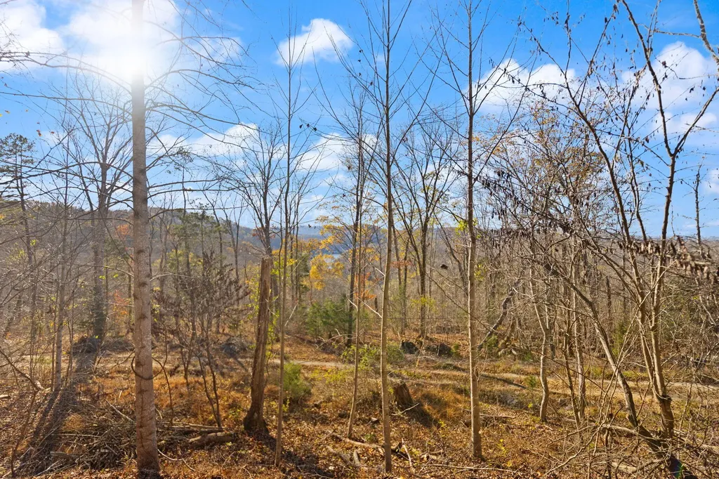 65 Maple Drive Burnside KY 42519