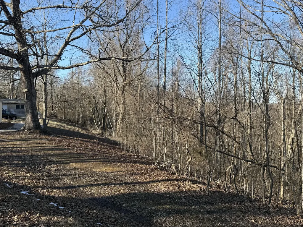 41 Reynolds Road Mckee KY 40447