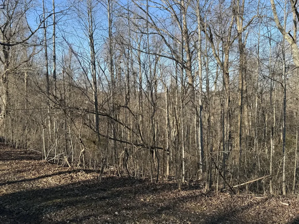 41 Reynolds Road Mckee KY 40447
