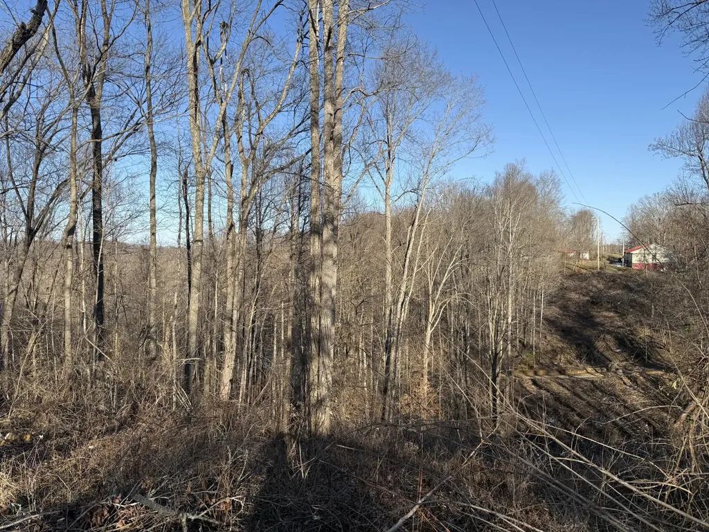 41 Reynolds Road Mckee KY 40447