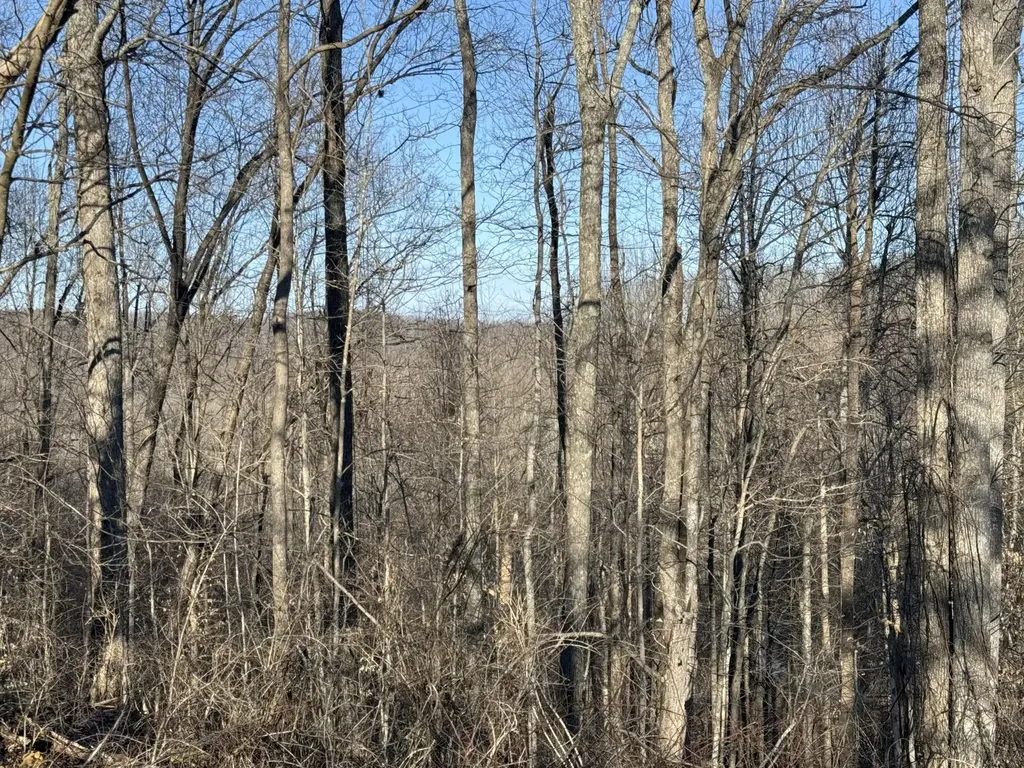 41 Reynolds Road Mckee KY 40447