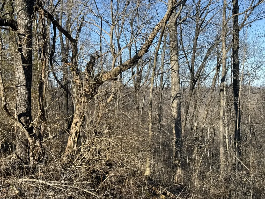 41 Reynolds Road Mckee KY 40447