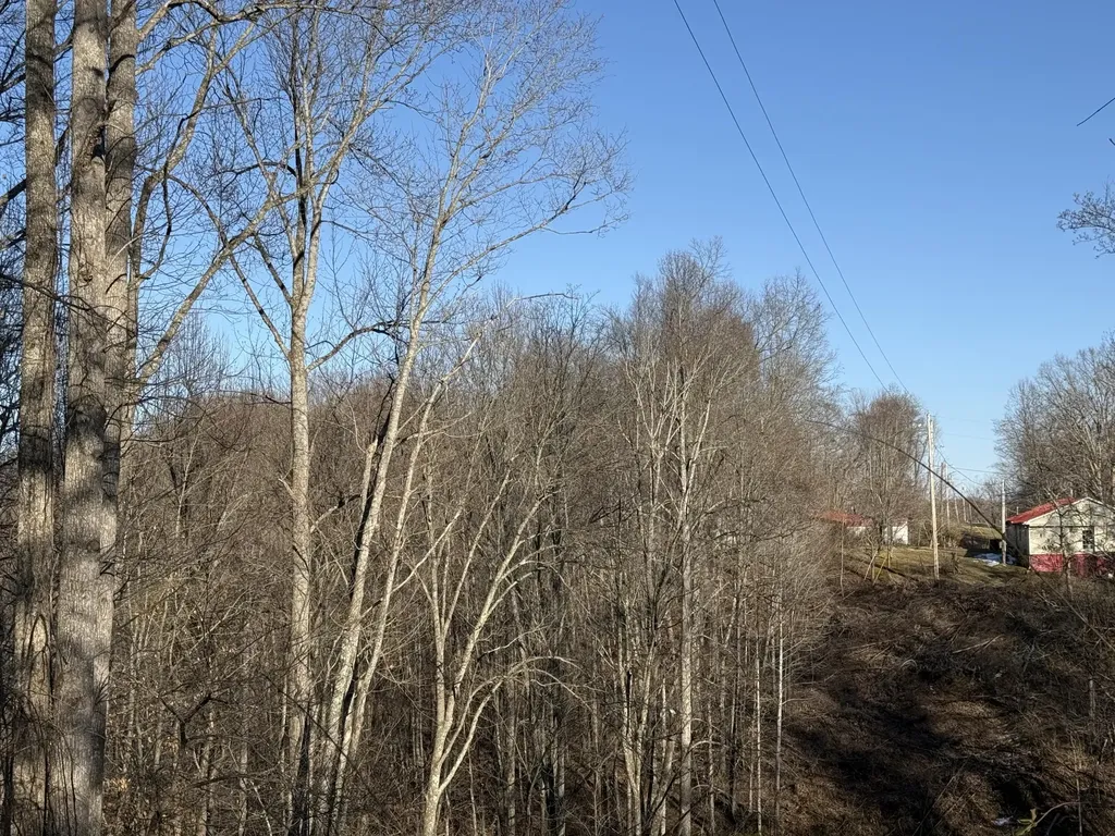 41 Reynolds Road Mckee KY 40447