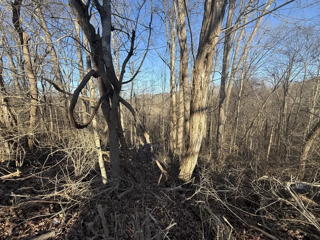 41 Reynolds Road Mckee KY 40447