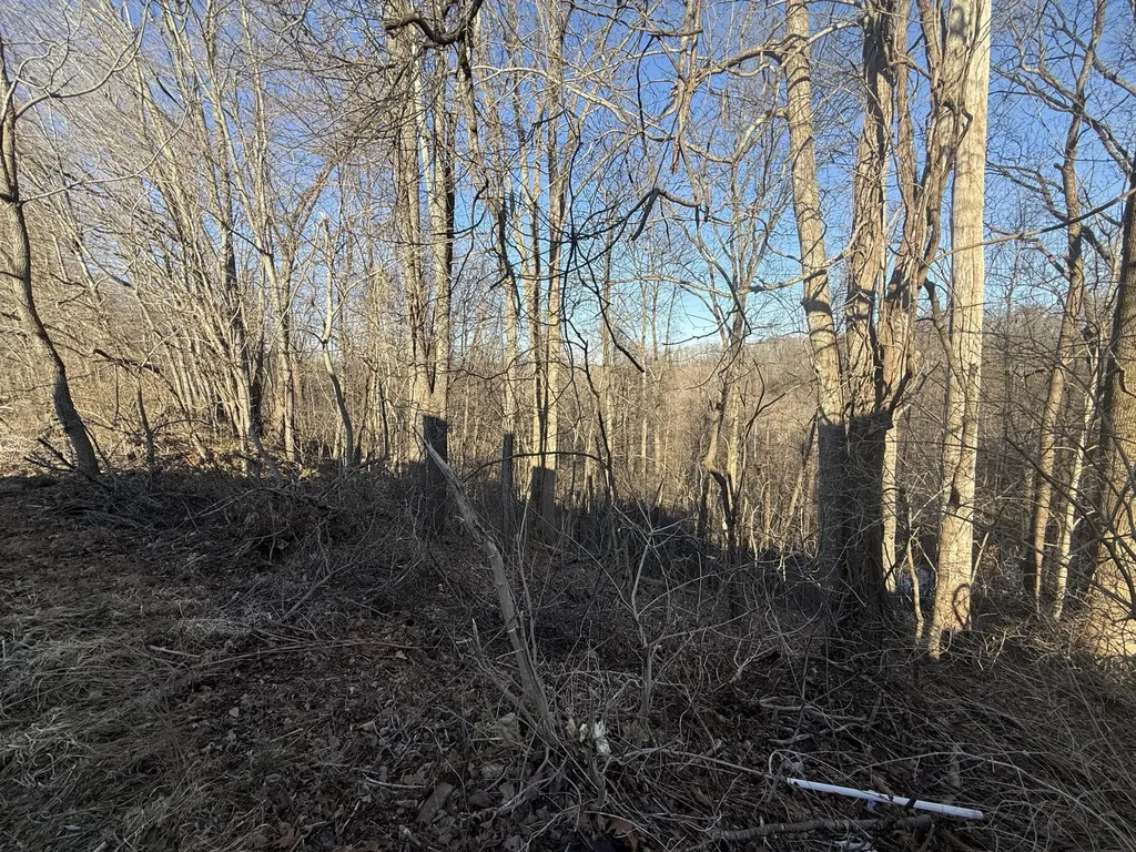 41 Reynolds Road Mckee KY 40447