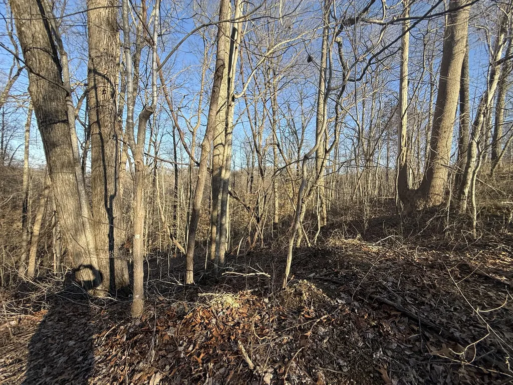 41 Reynolds Road Mckee KY 40447