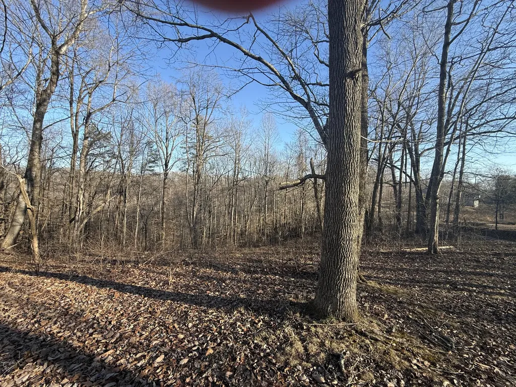 41 Reynolds Road Mckee KY 40447
