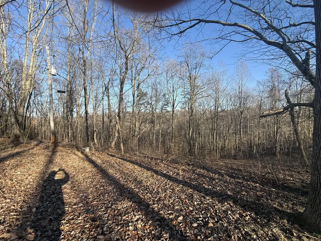 41 Reynolds Road Mckee KY 40447
