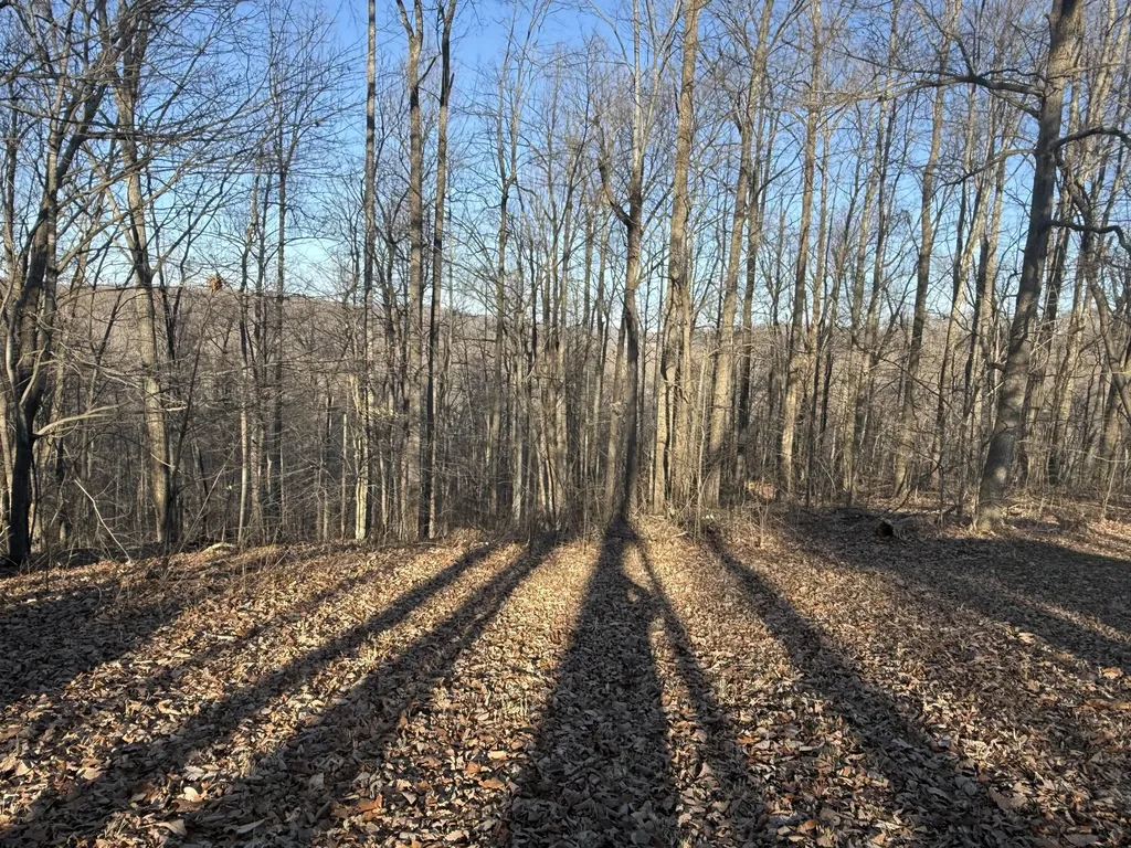 41 Reynolds Road Mckee KY 40447