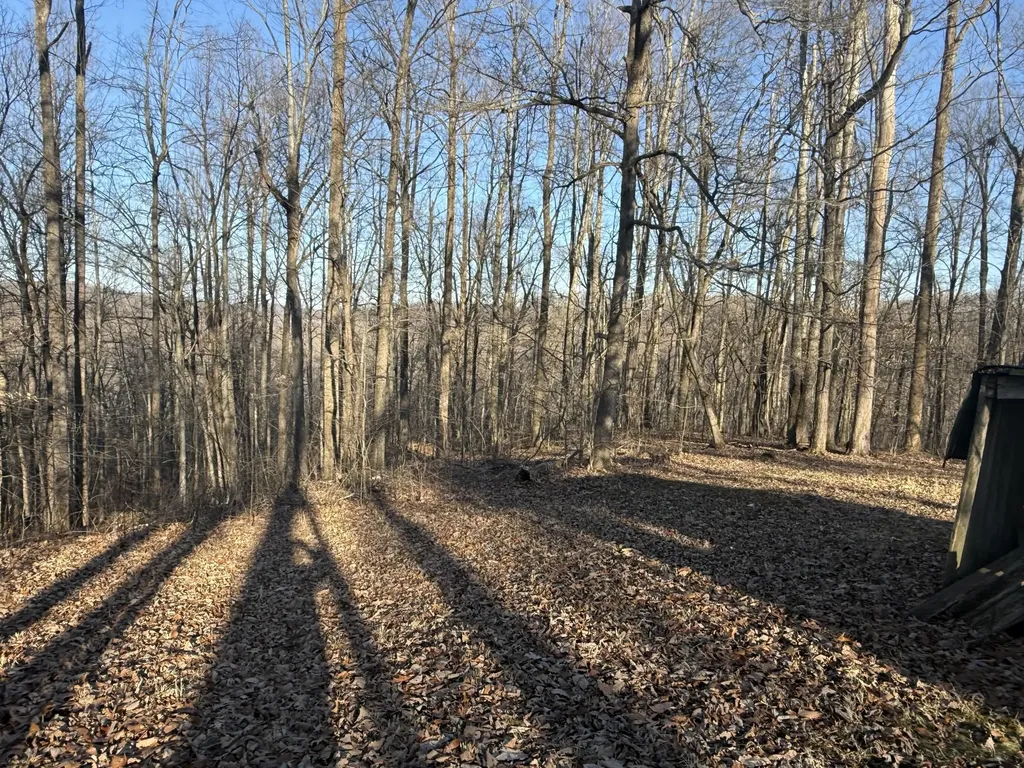 41 Reynolds Road Mckee KY 40447
