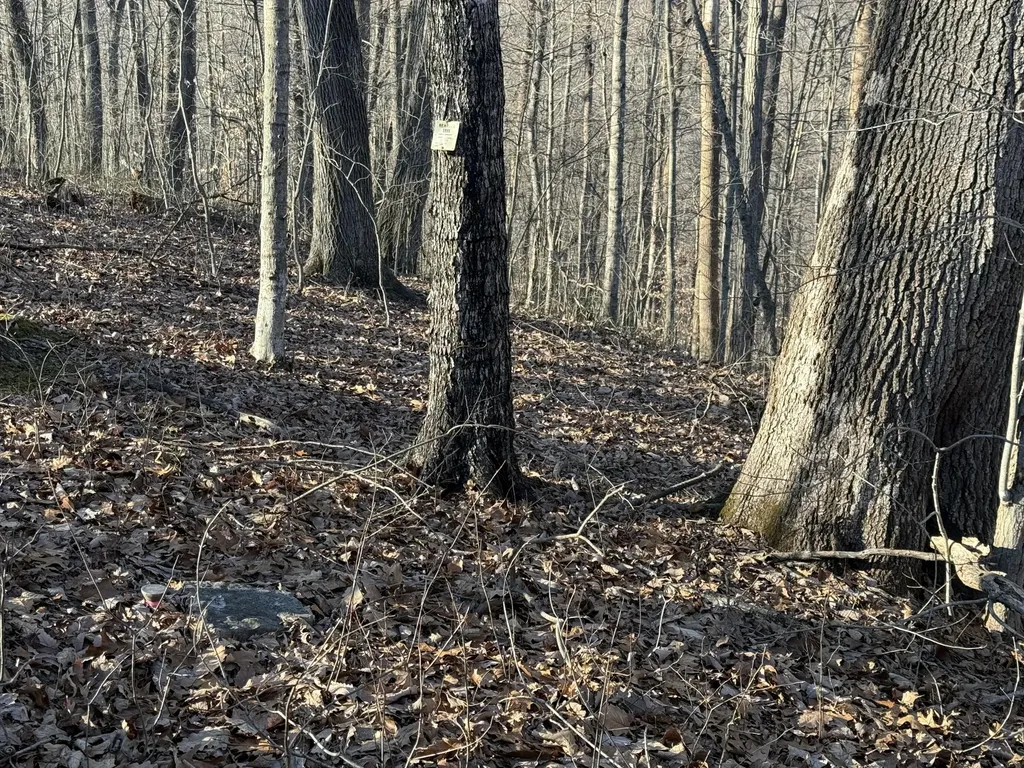 41 Reynolds Road Mckee KY 40447