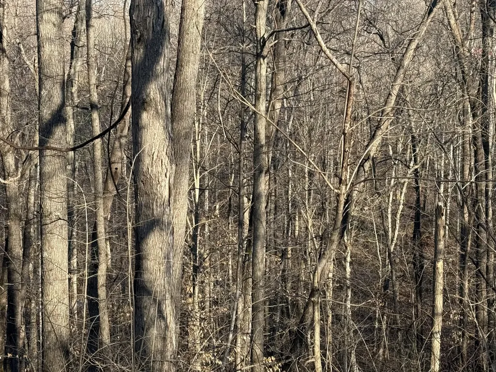 41 Reynolds Road Mckee KY 40447